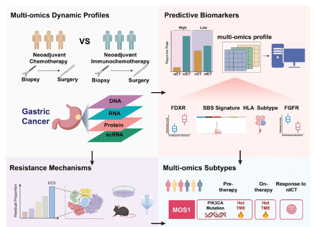 同一日，中山大学徐瑞华团队连发两篇Cell子刊